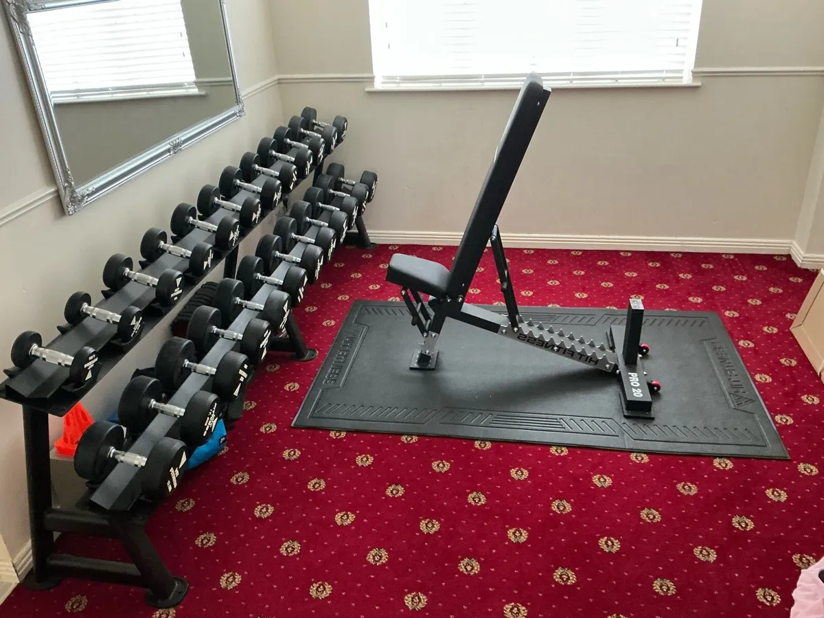 Dumbbells and treadmill - Image 2