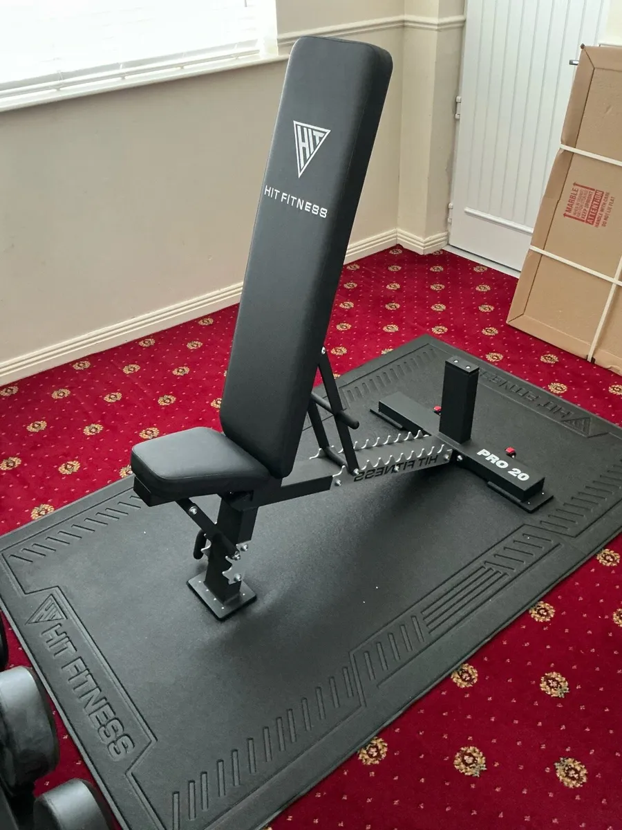 Dumbbells and treadmill - Image 4