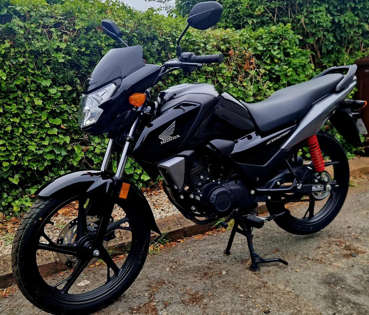 Honda CBF 125 *very low mileage* - Image 2