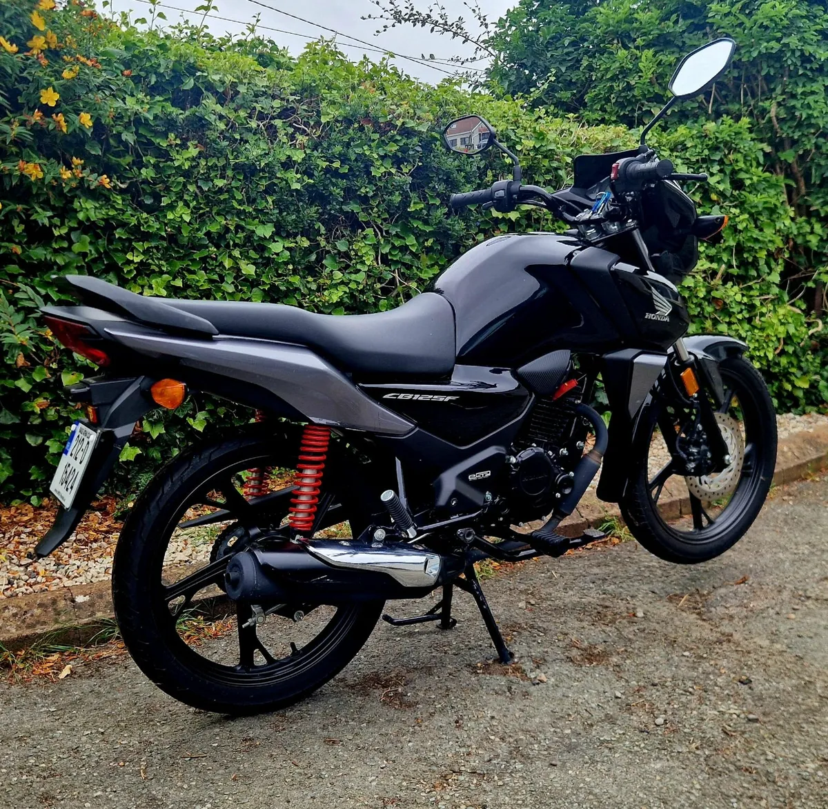 Honda CBF 125 *very low mileage* - Image 3
