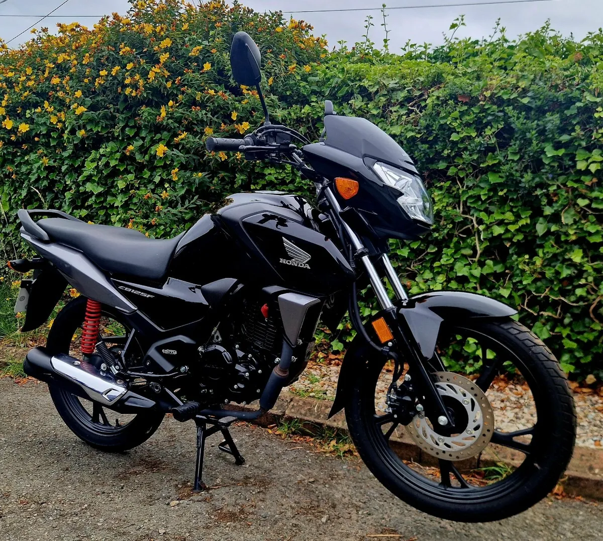 Honda CBF 125 *very low mileage* - Image 4