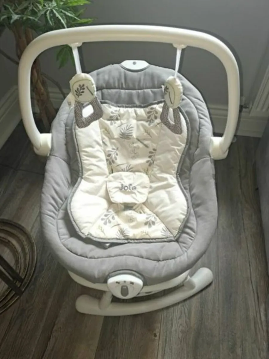 Baby Swing and Rocker Fern - Image 1