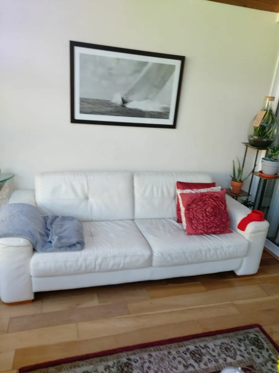 Leather sofas - Image 1