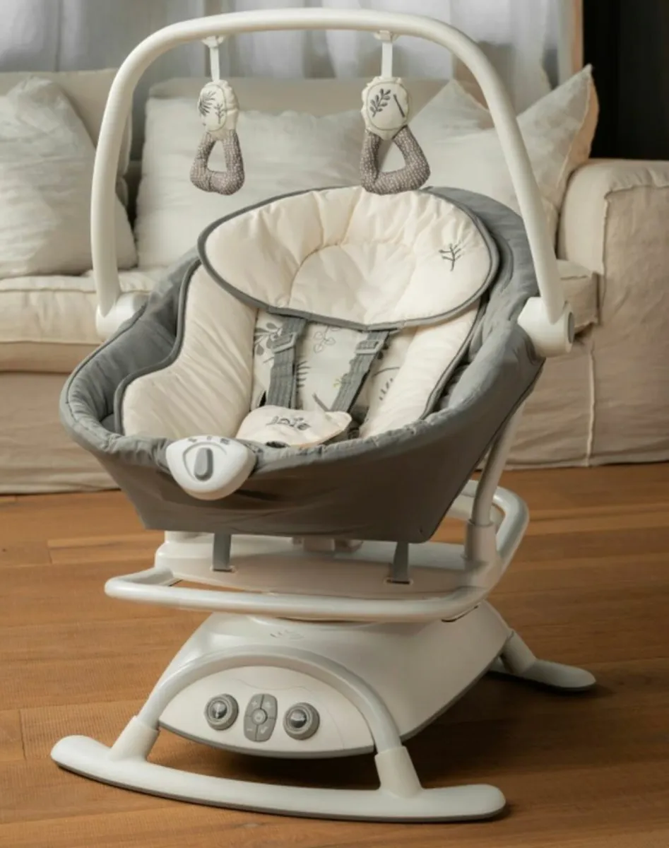 Baby Swing and Rocker Fern - Image 3