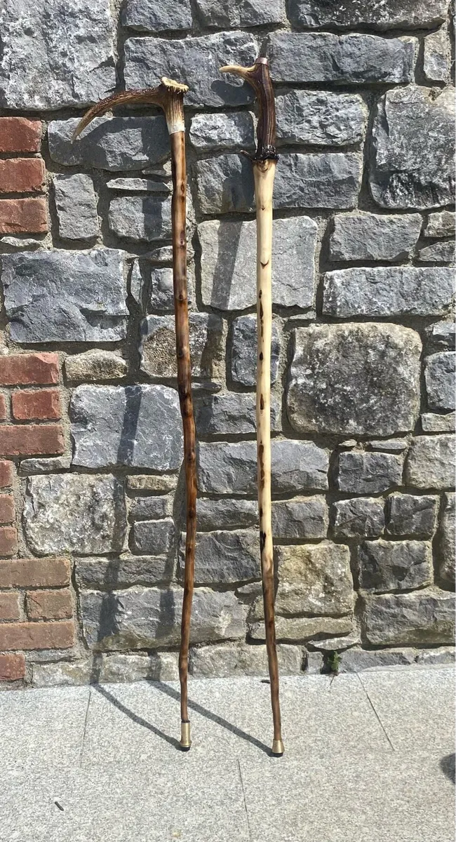 Antler walking Staffs - Image 4