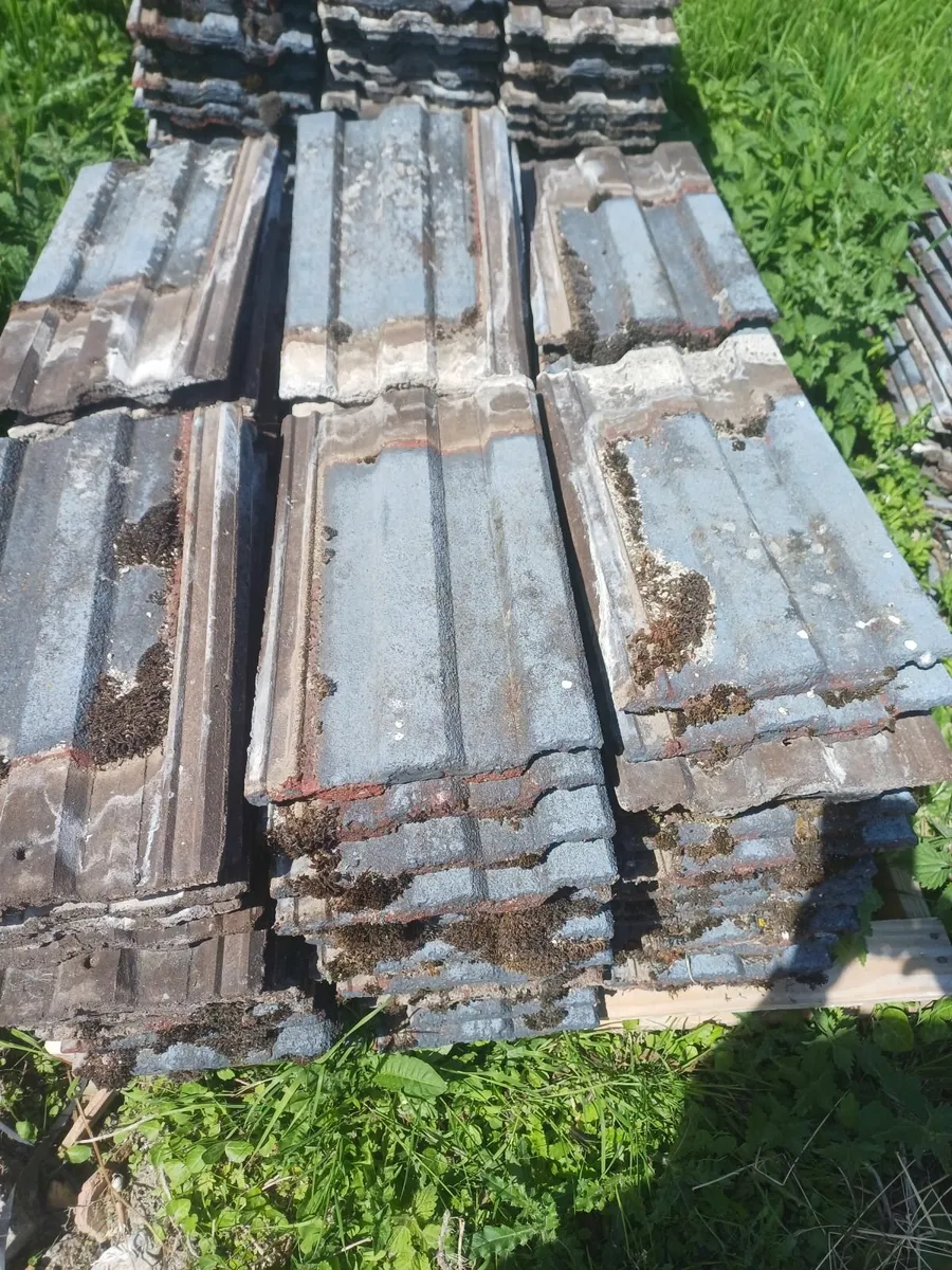 Roof tiles - Image 1