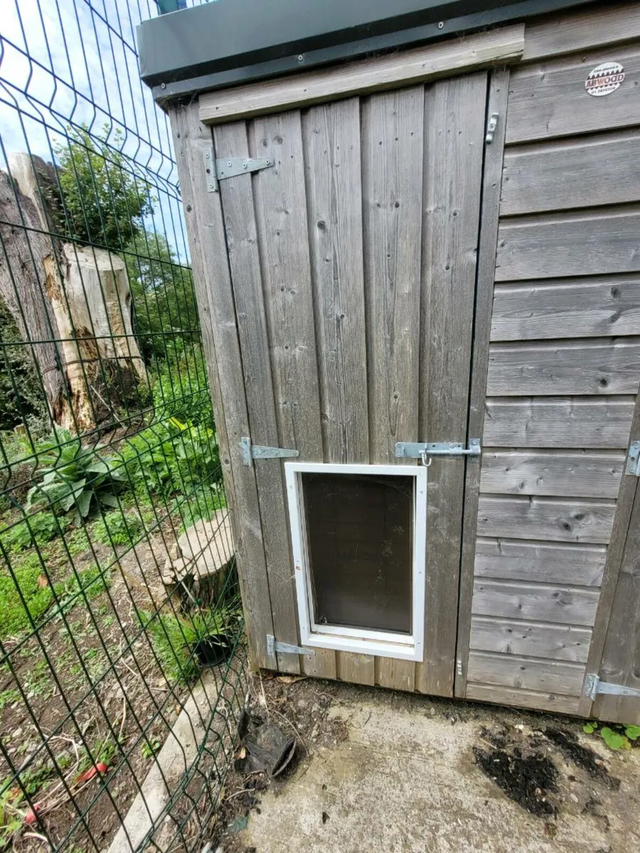 Garden shed/Dog Kennel - Image 4