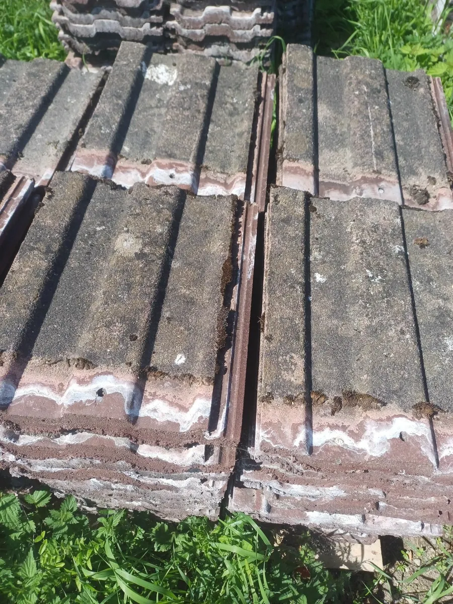 Roof tiles - Image 2