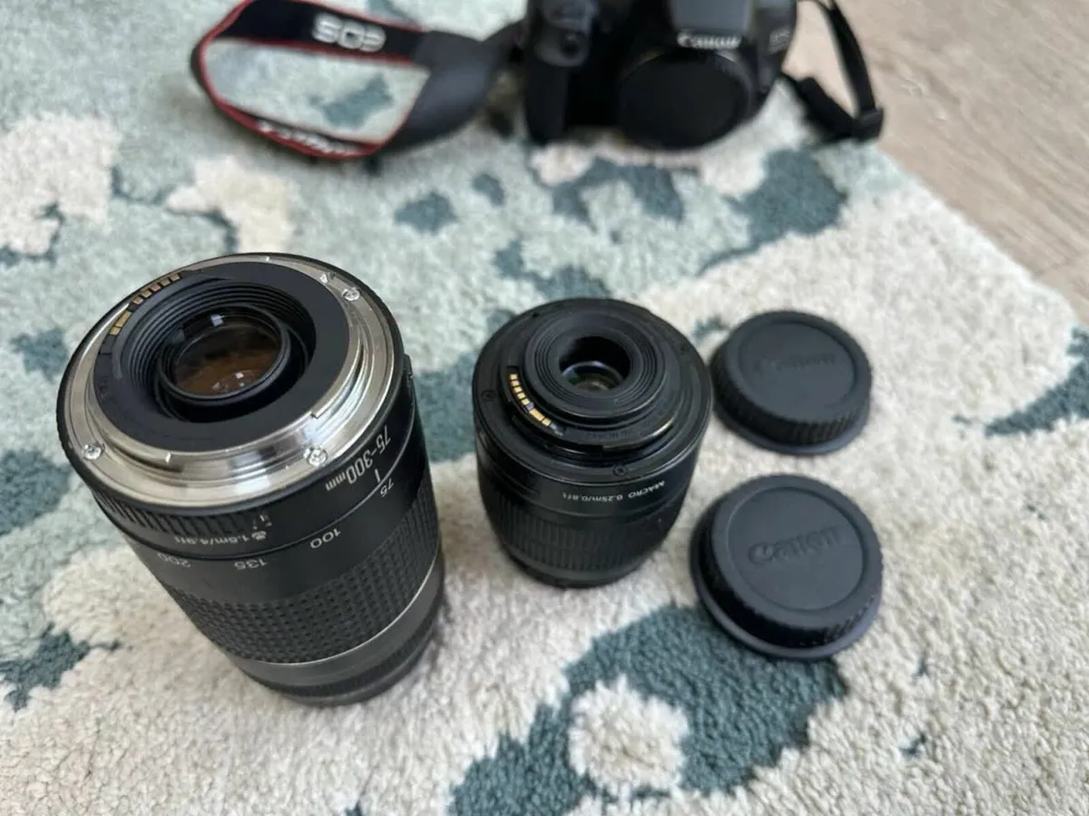 Canon EOS 2000D DSLR Camera kit - Image 3