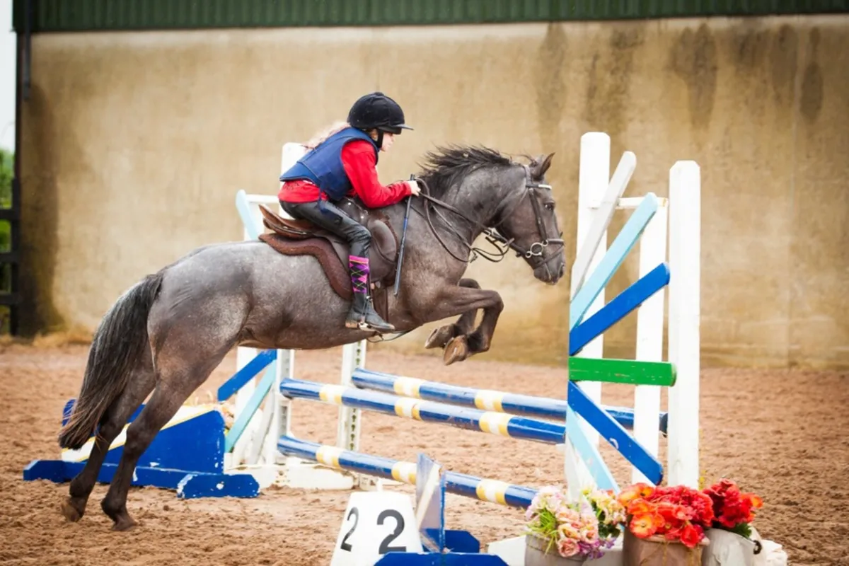 Pony - Image 1