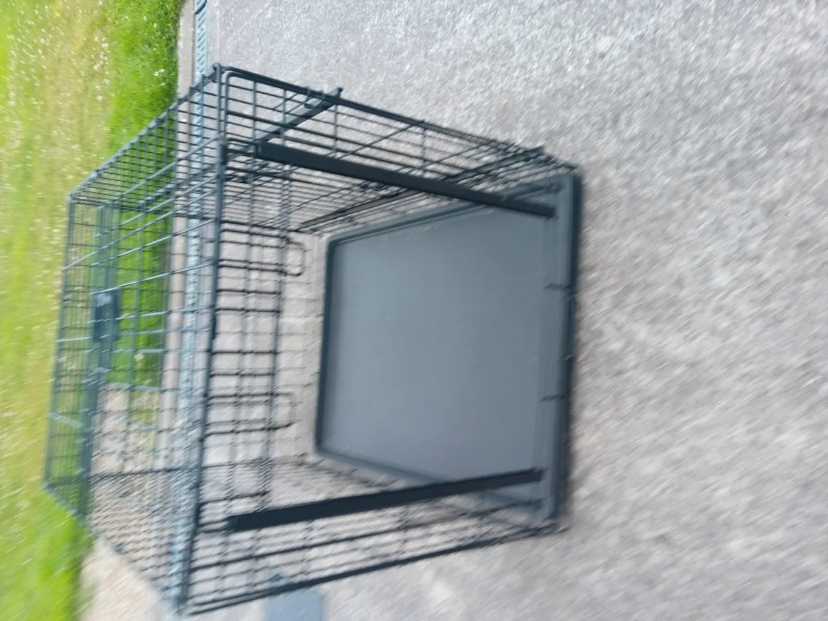 Large Dog crate - Image 3