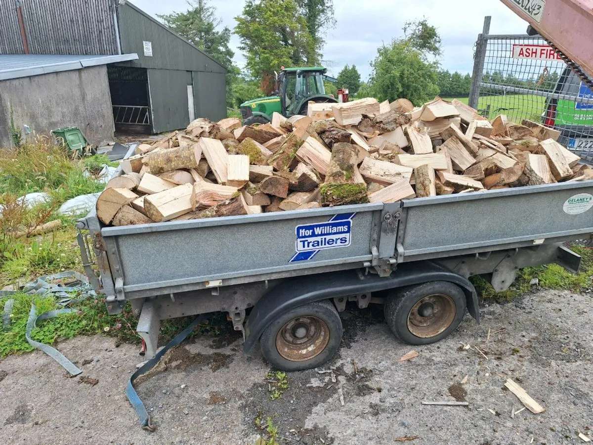 ASH FIREWOOD