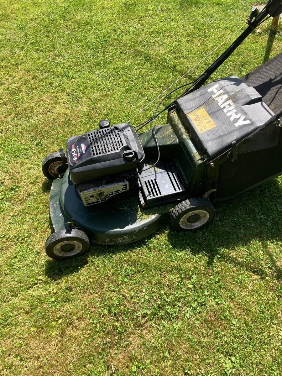 Self drive lawnmower - Image 2