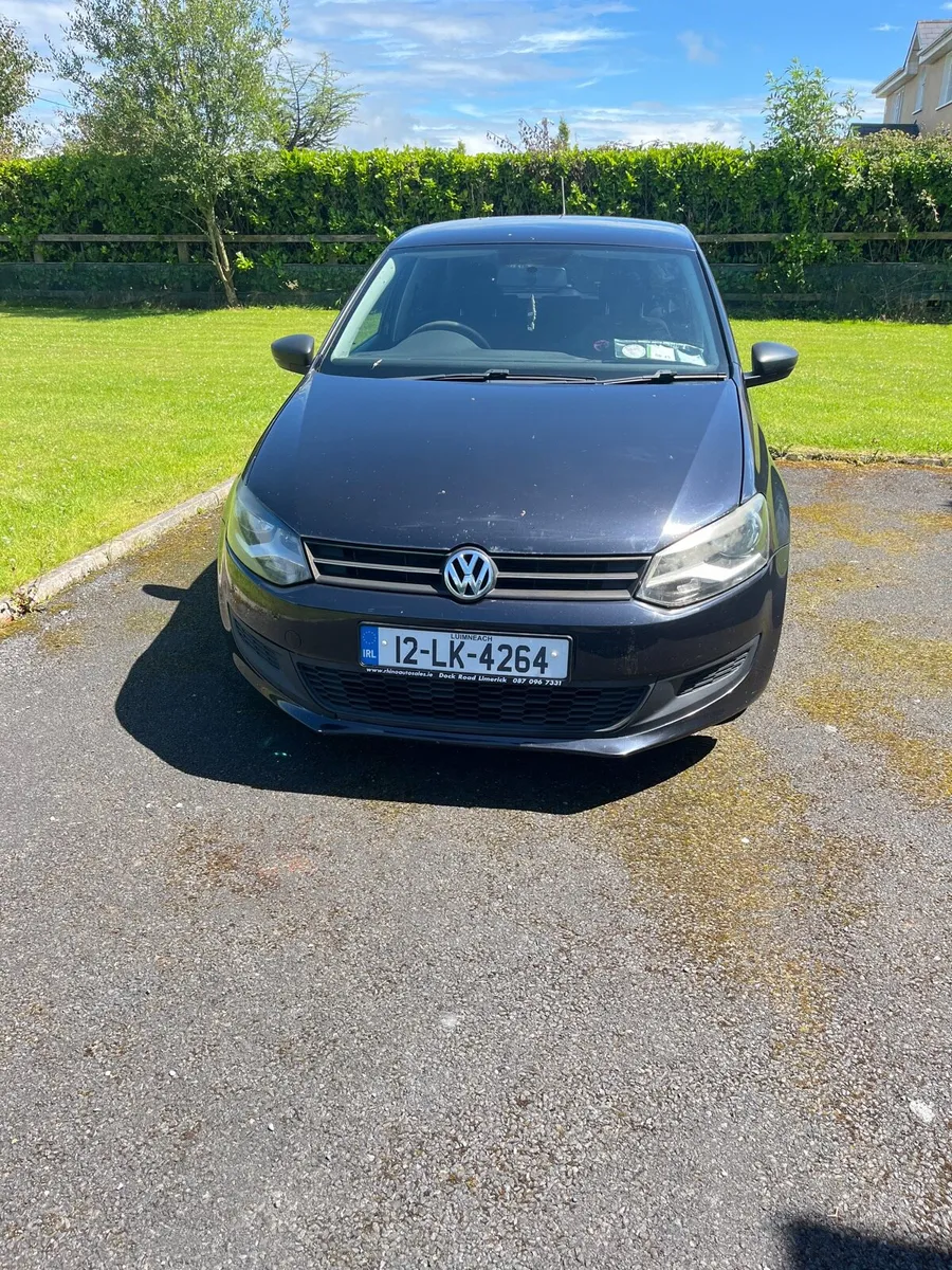 12 polo - Image 1