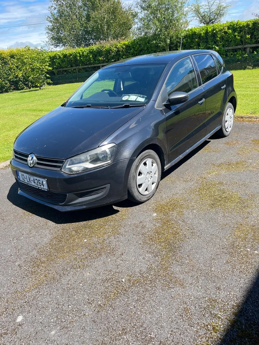 12 polo - Image 2