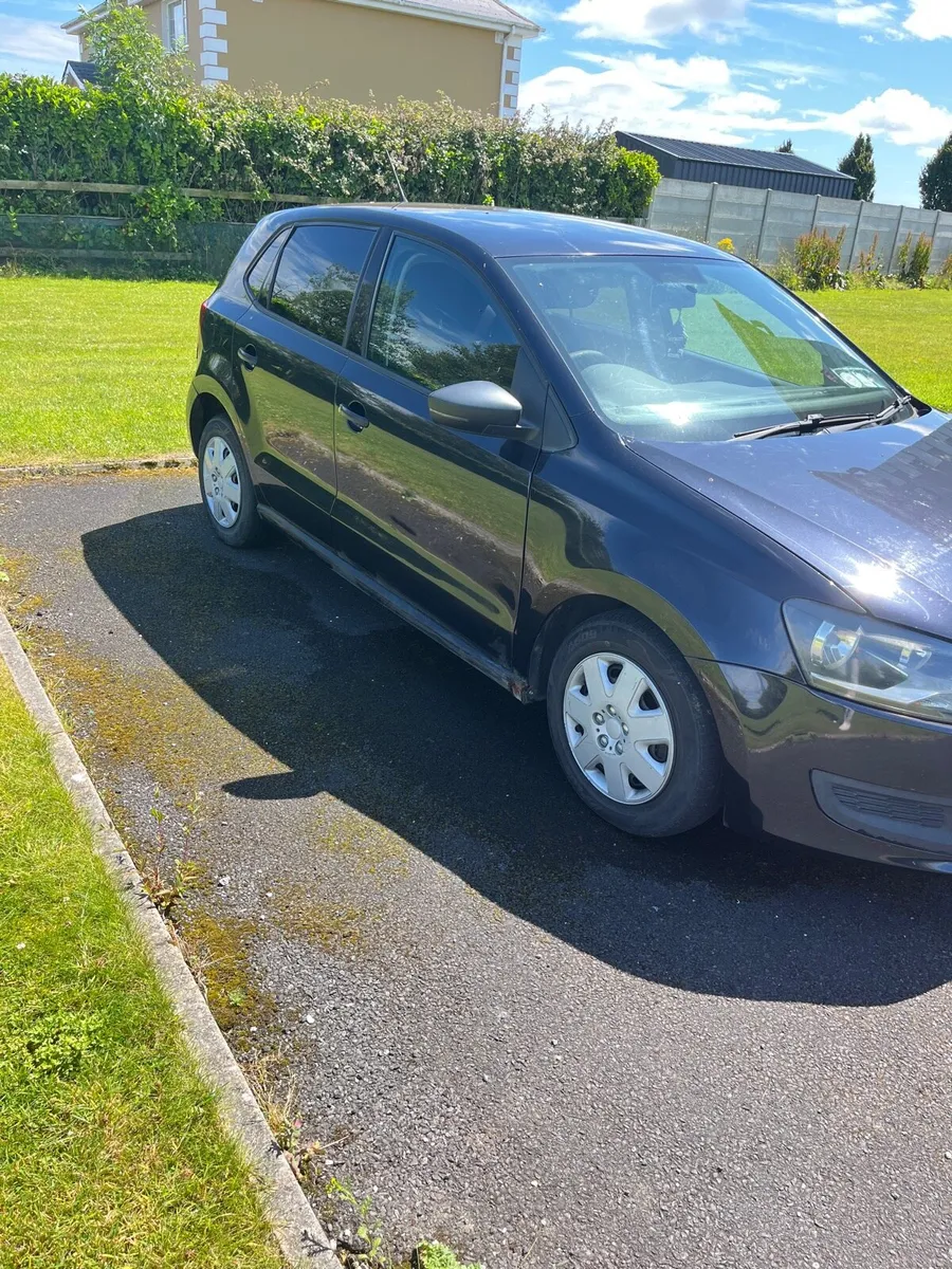 12 polo - Image 3