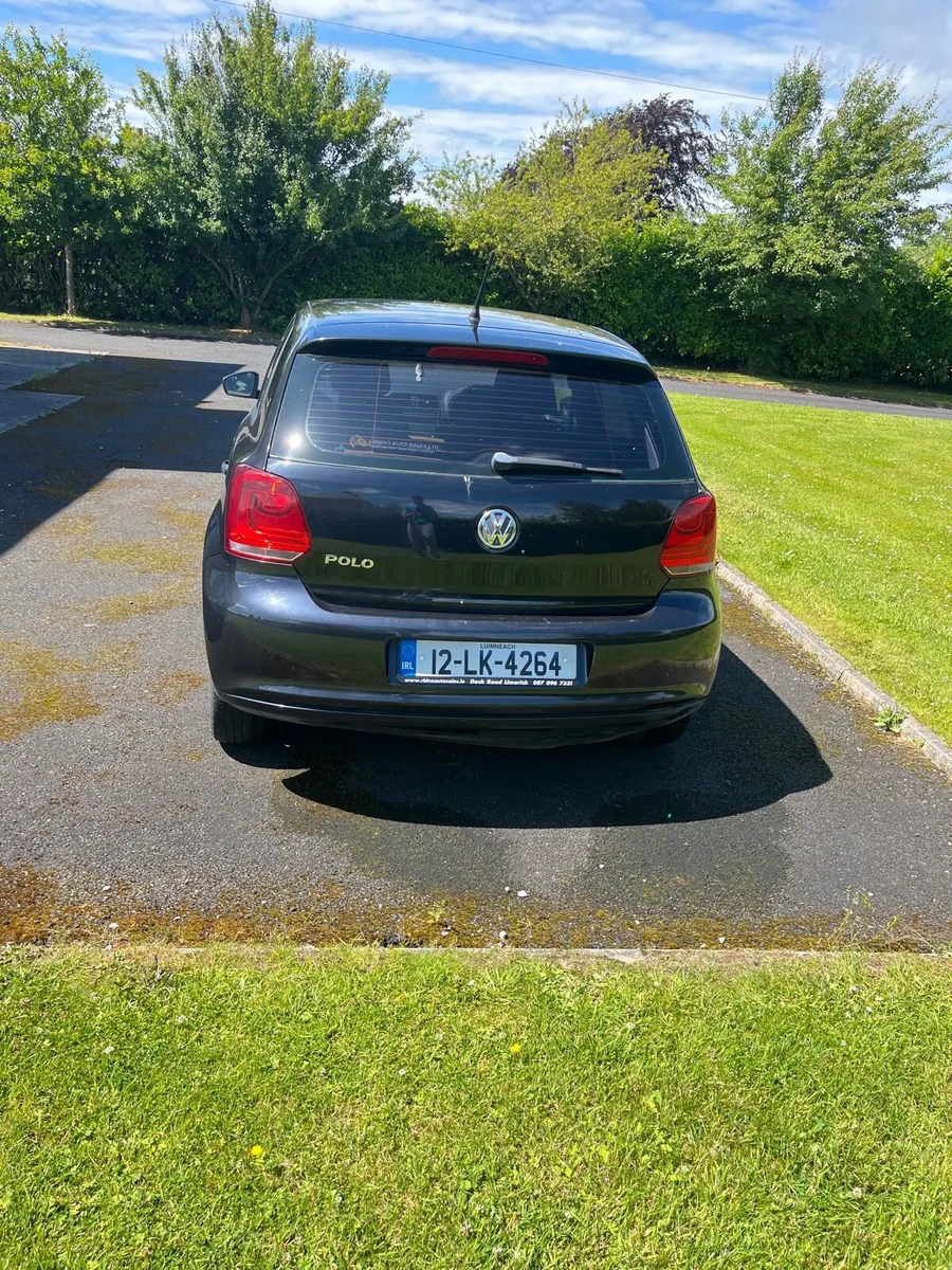 12 polo - Image 4