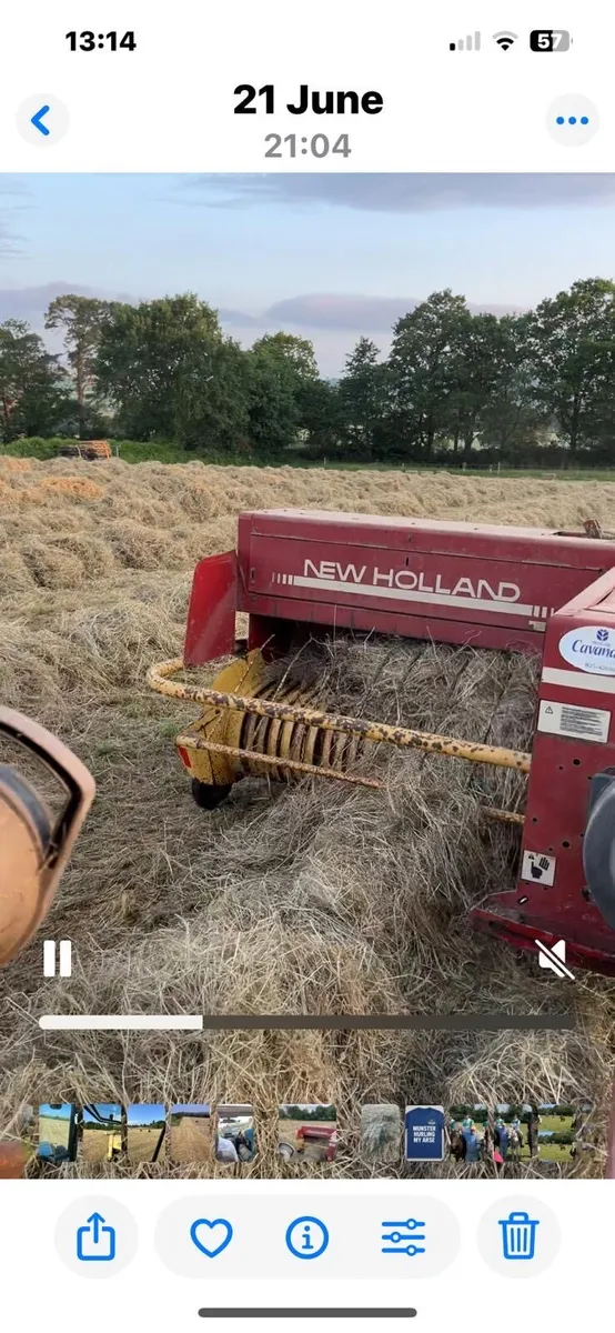 Small Square Bales of June Hay - Image 1
