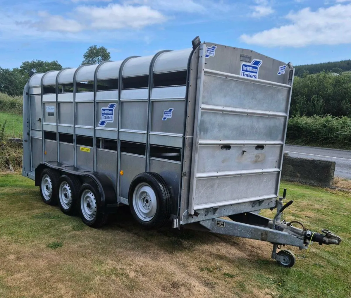 Ifor williams 14 x 6 cattle/sheep trailer - Image 1