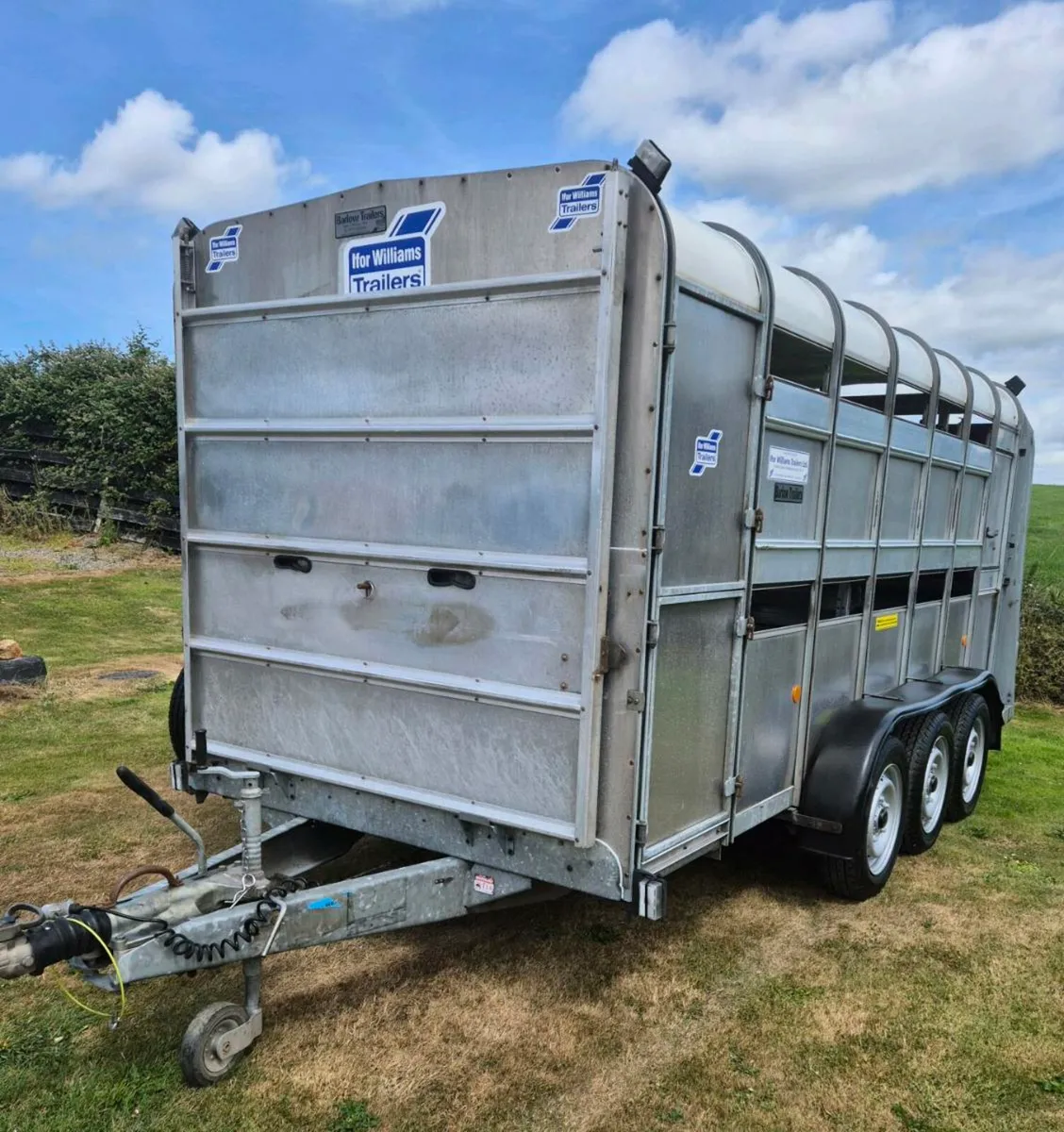 Ifor williams 14 x 6 cattle/sheep trailer - Image 3