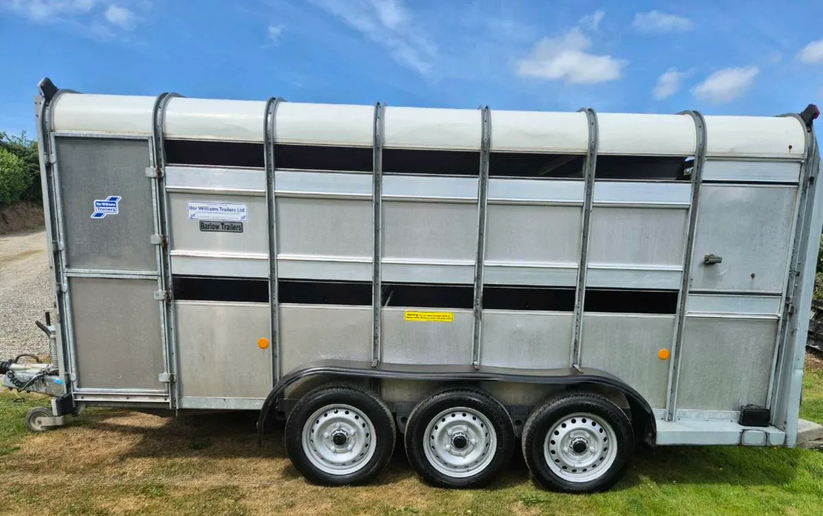 Ifor williams 14 x 6 cattle/sheep trailer - Image 4