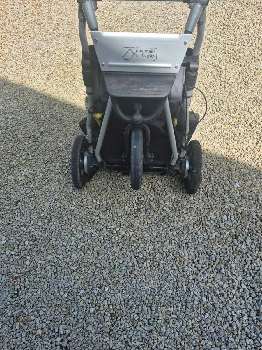 Buggy - Image 2