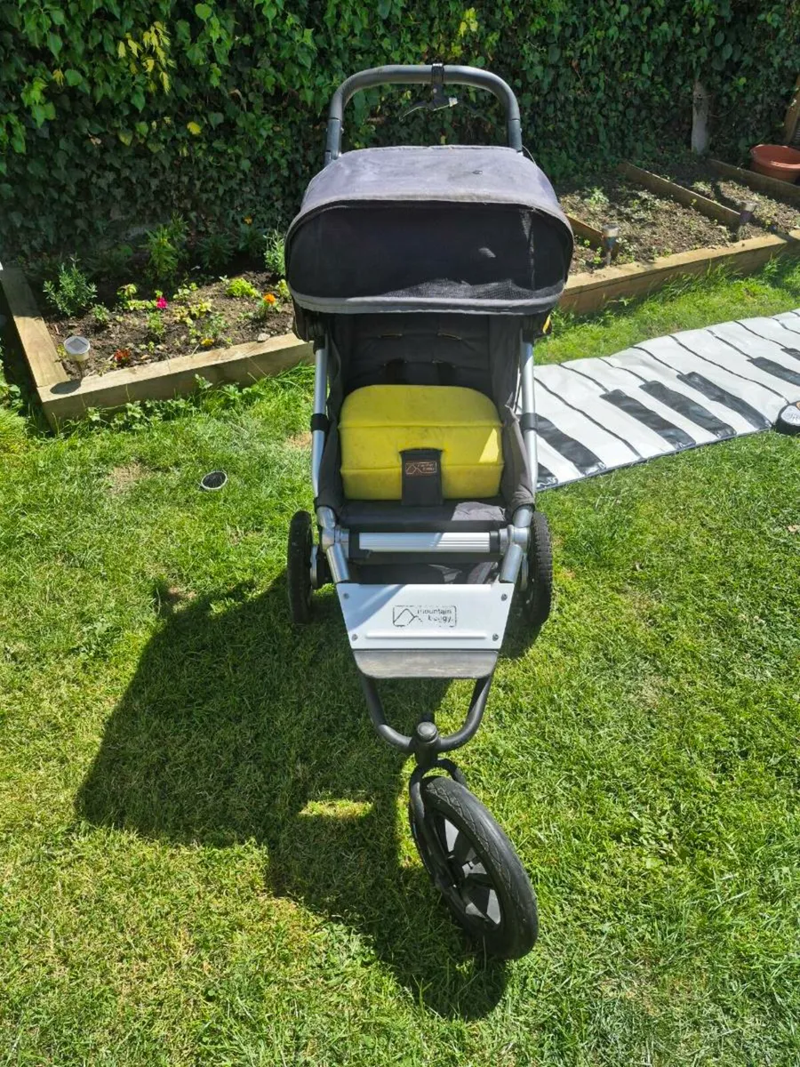 Buggy - Image 4