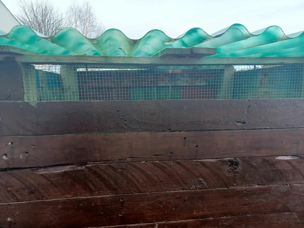 Duck/Poultry House - Image 2