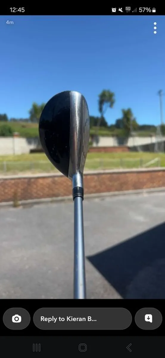 King Cobra h - Image 1