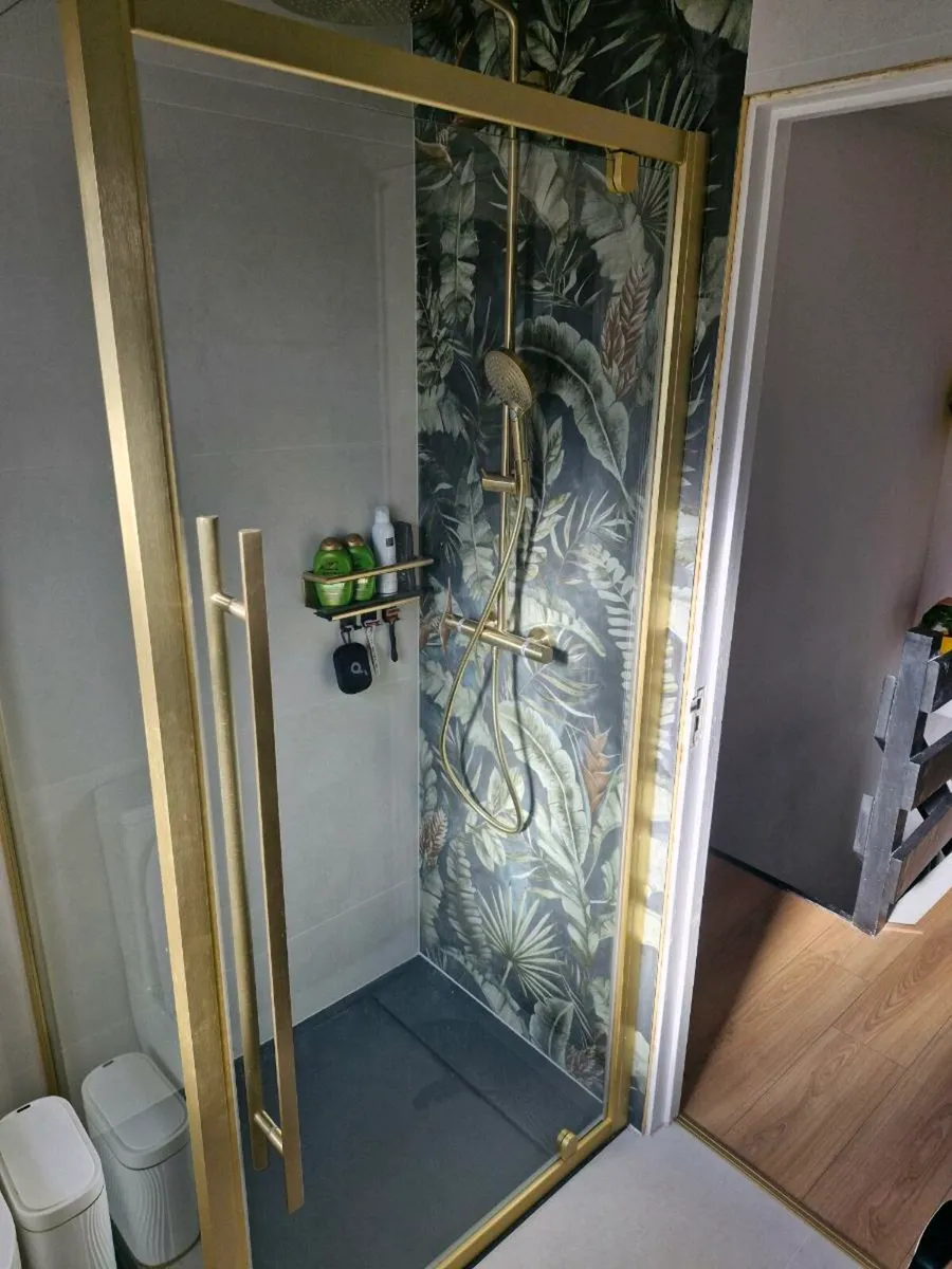 Shower Door - Image 1