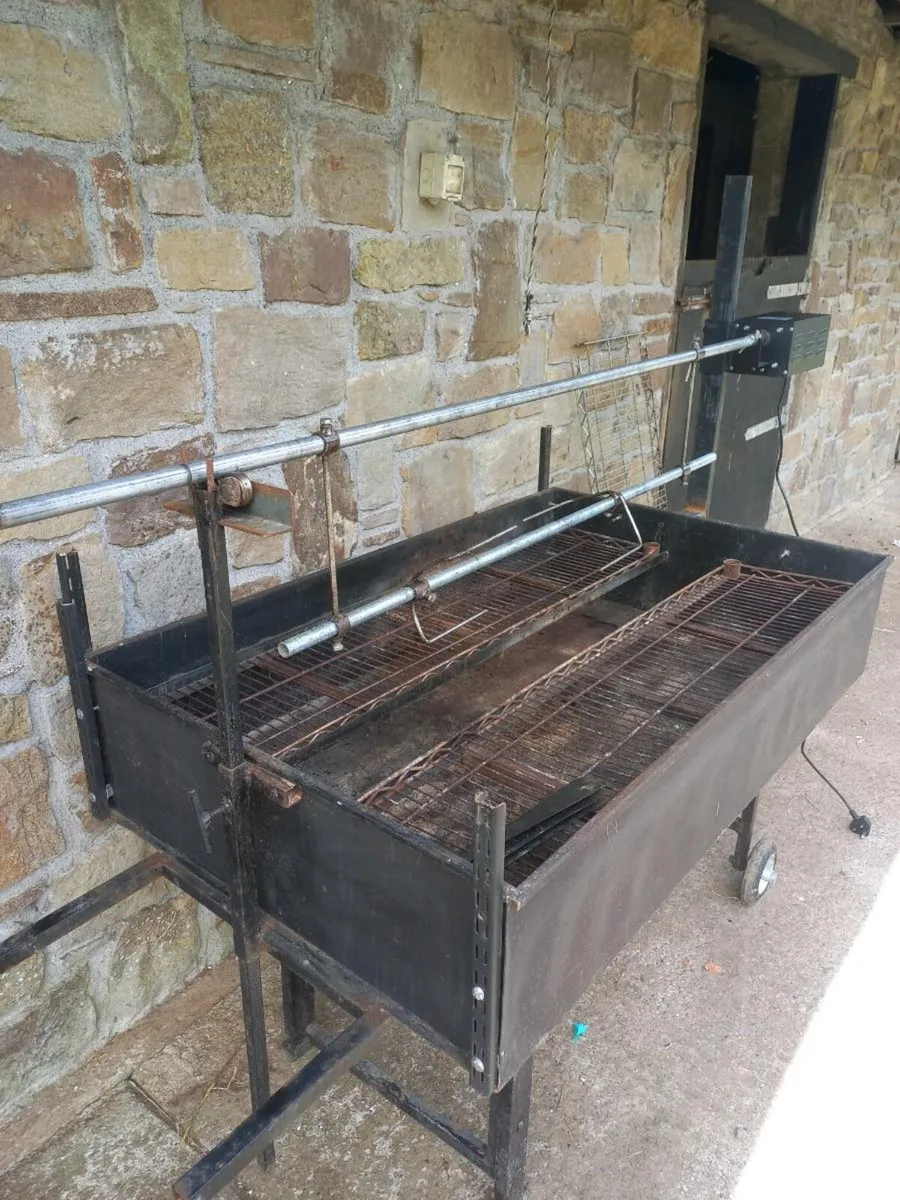 Bbq pig roaster - Image 1