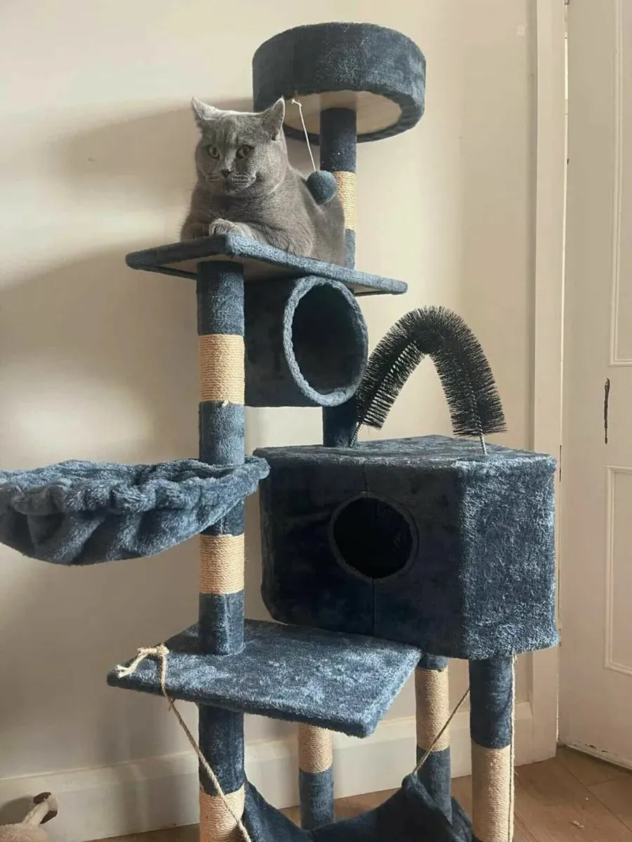 Cat scratching post cat tree brand new - Image 1