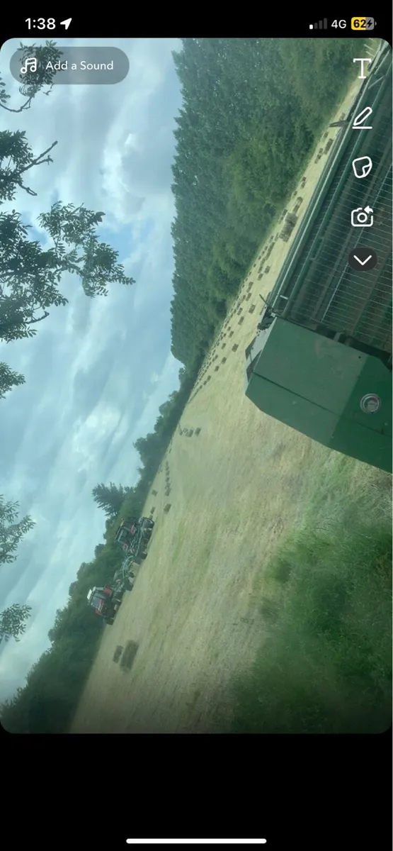 Square bales of hay - Image 1