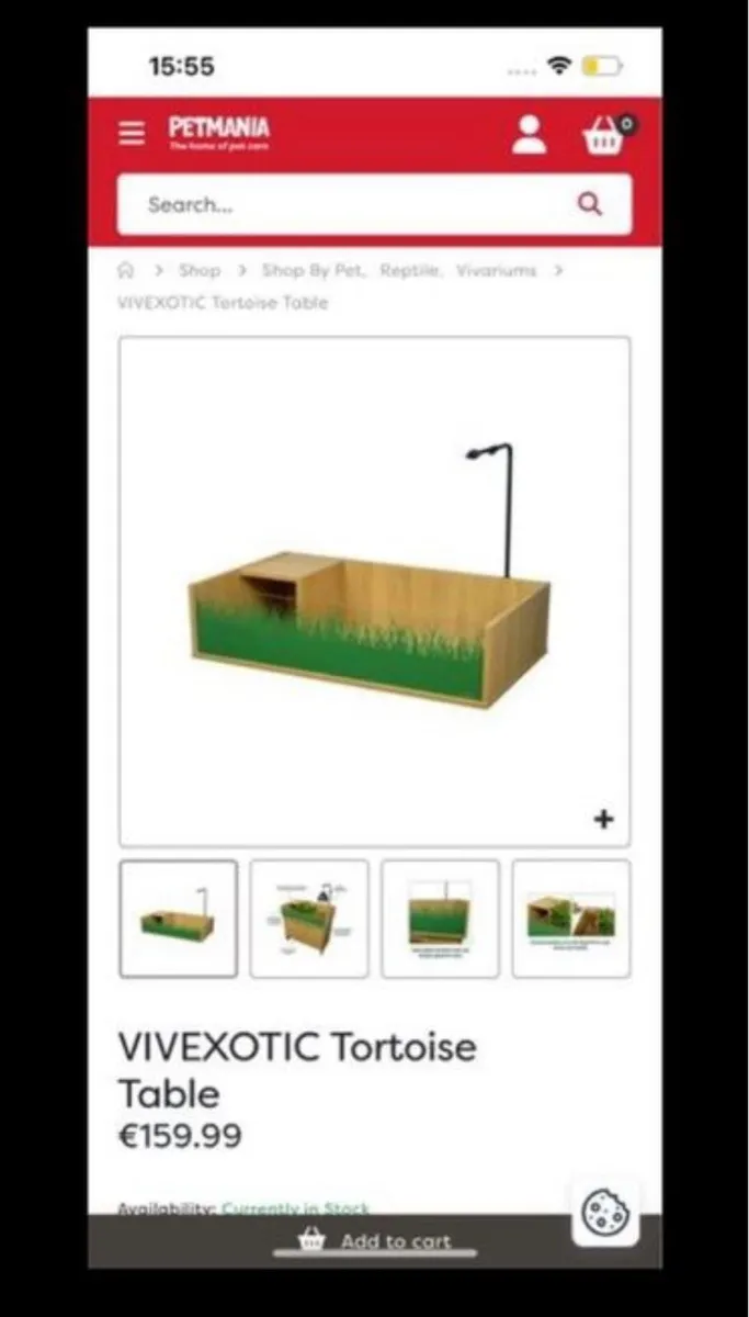 Tortoise box - Image 1