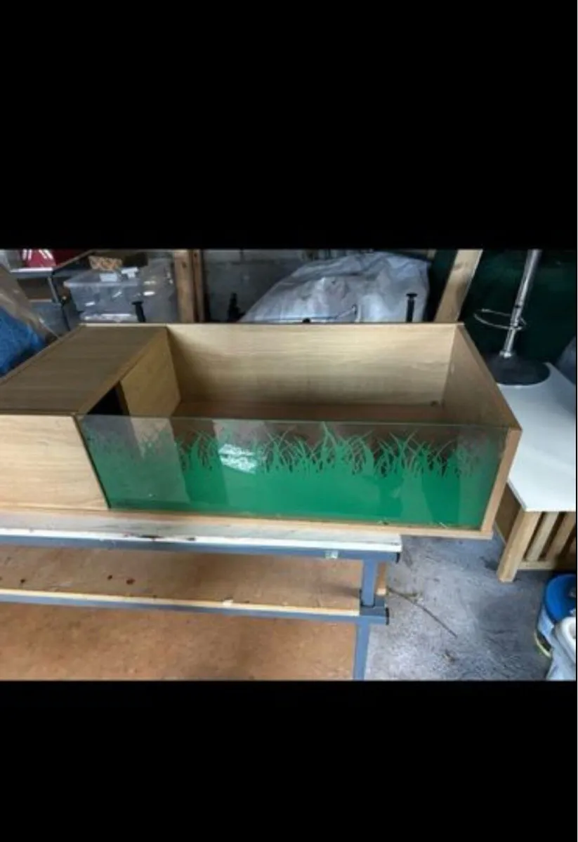 Tortoise box - Image 2