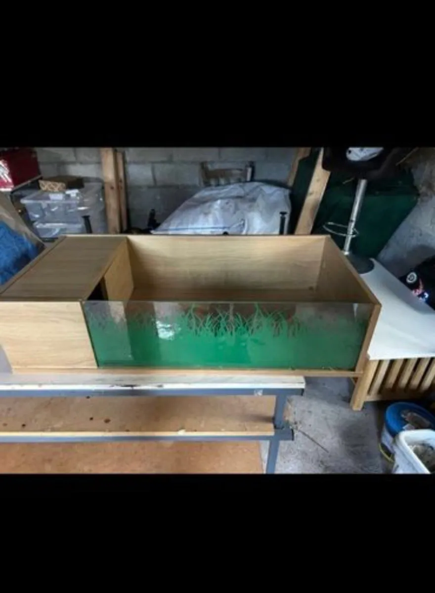 Tortoise box - Image 4