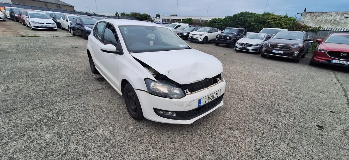 12 Polo - Image 2