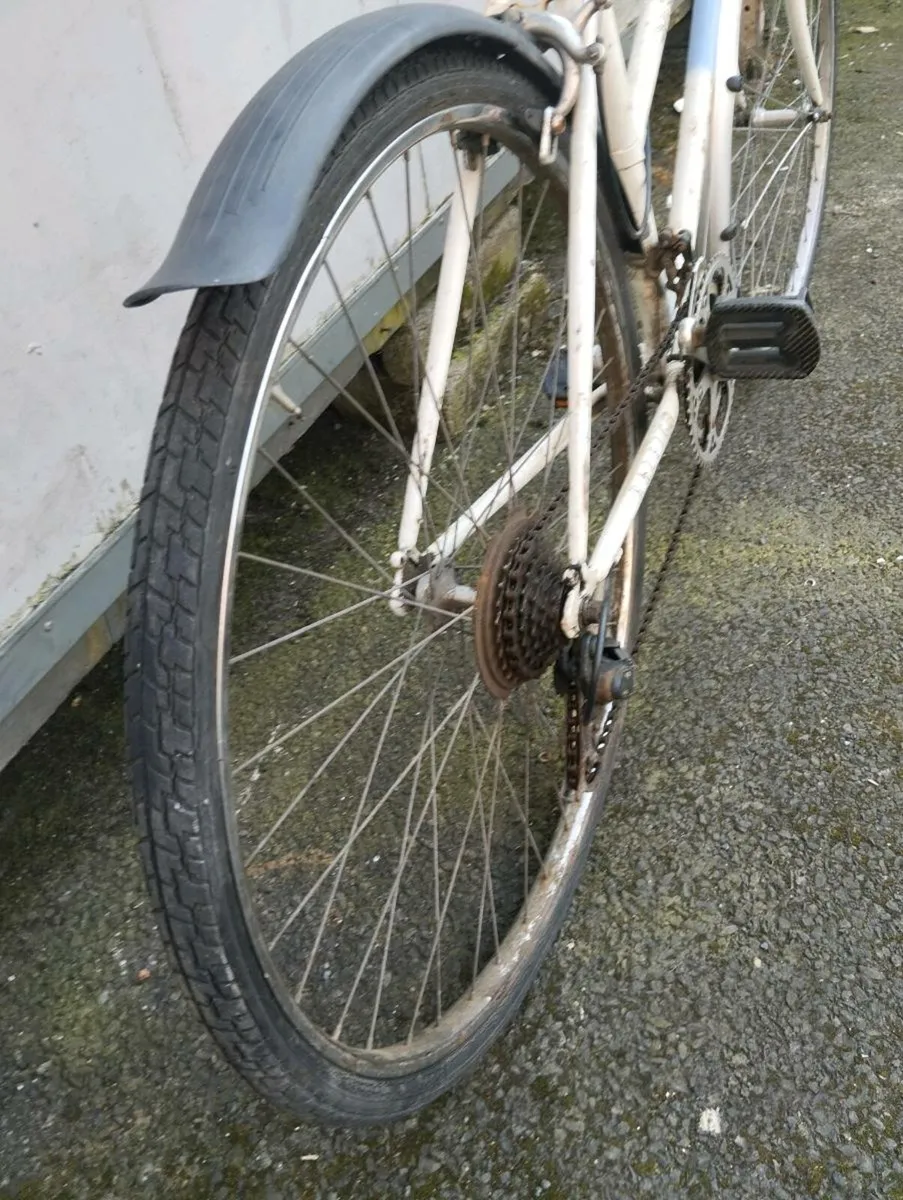 Ladies Raleigh hybrid - Image 4