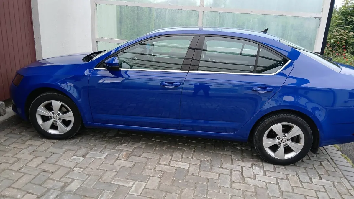 Skoda Octavia 2019 1.6 TDI SE TECHNOLOGY 115PS 5DR - Image 3