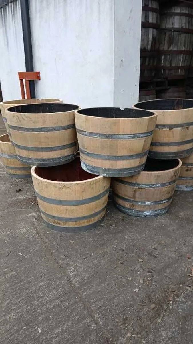 Ex Whiskey Oak Barrel Planter For Sale - Image 3