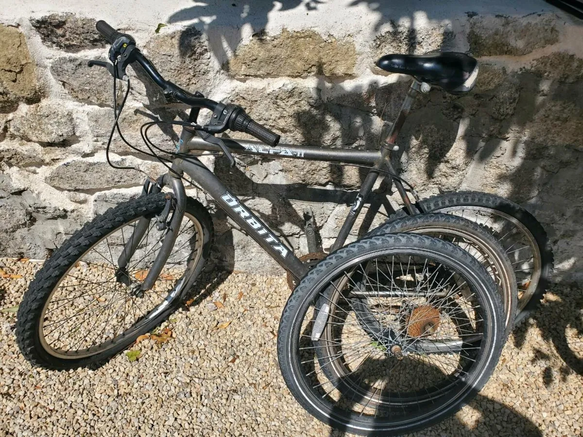 Bike Large Frame