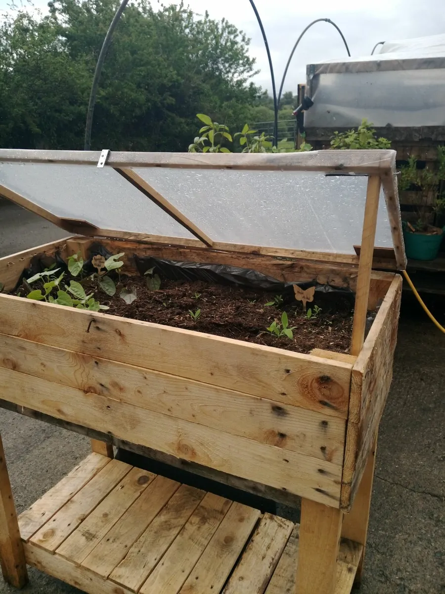 Raised Growing Bed - Image 2