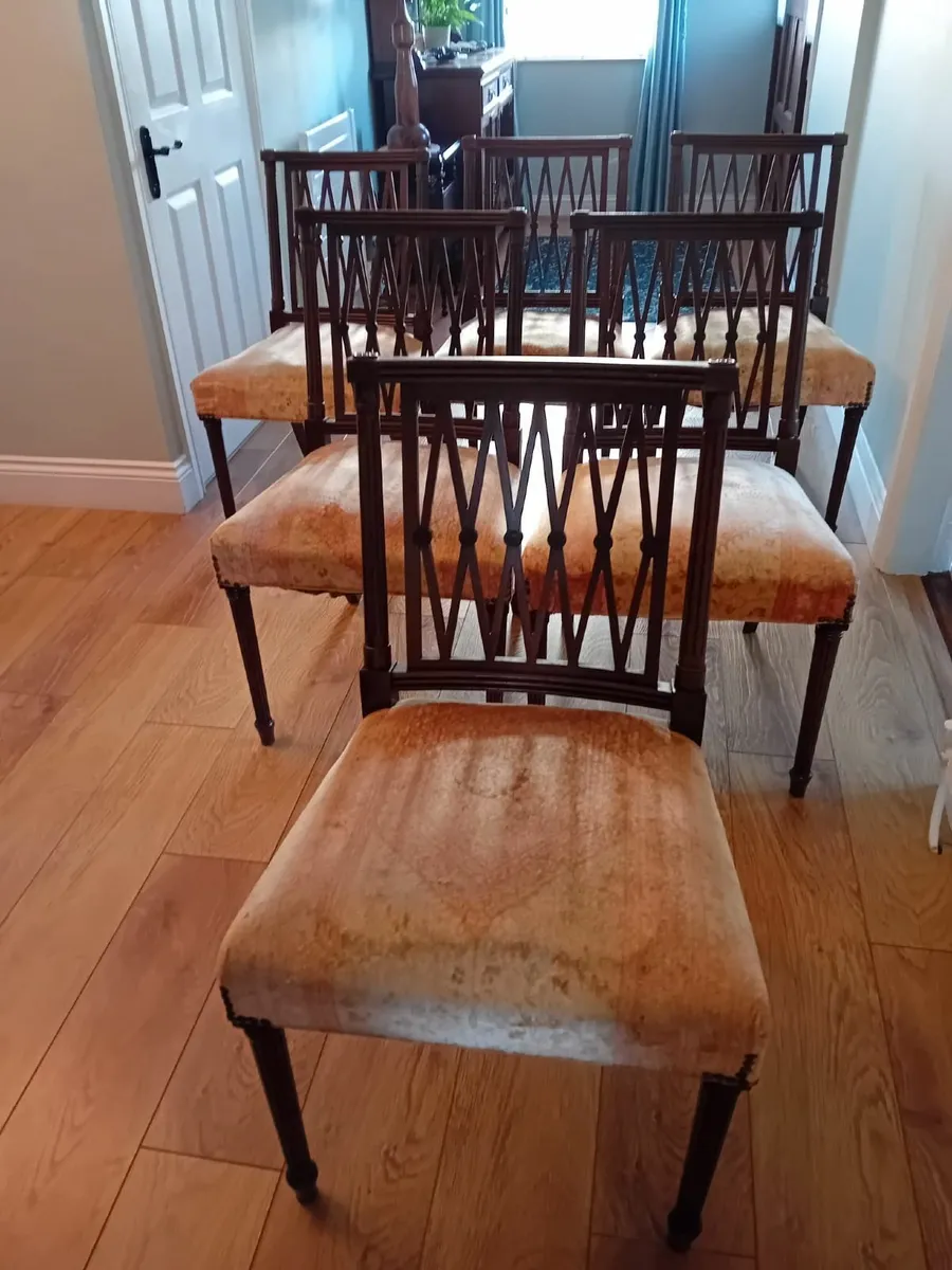 Dining chairs - Image 1