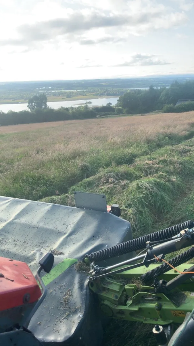 Square bales of hay - Image 2