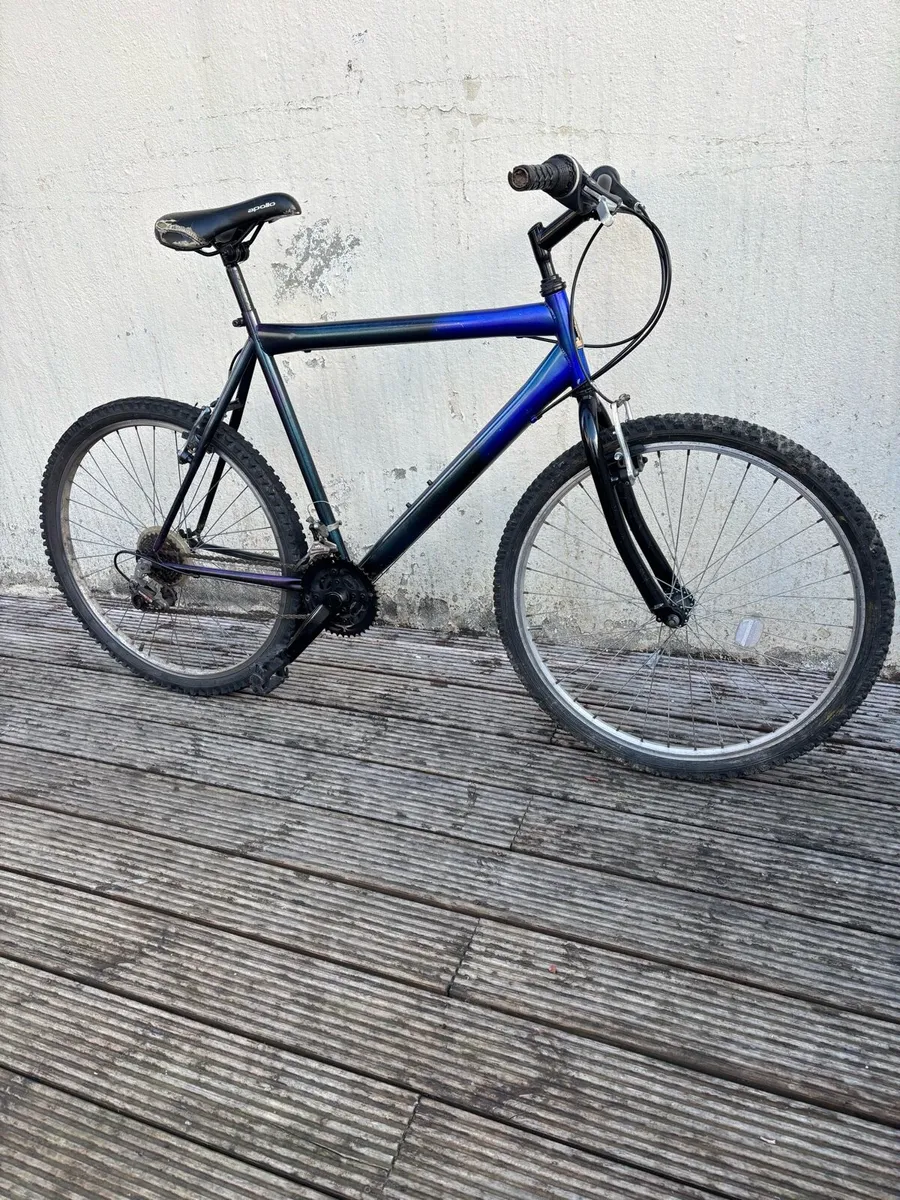 Adults bike Raleigh M size - Image 1