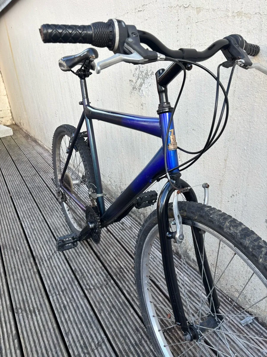 Adults bike Raleigh M size - Image 2