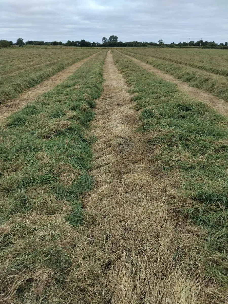 Silage/haylage - Image 1
