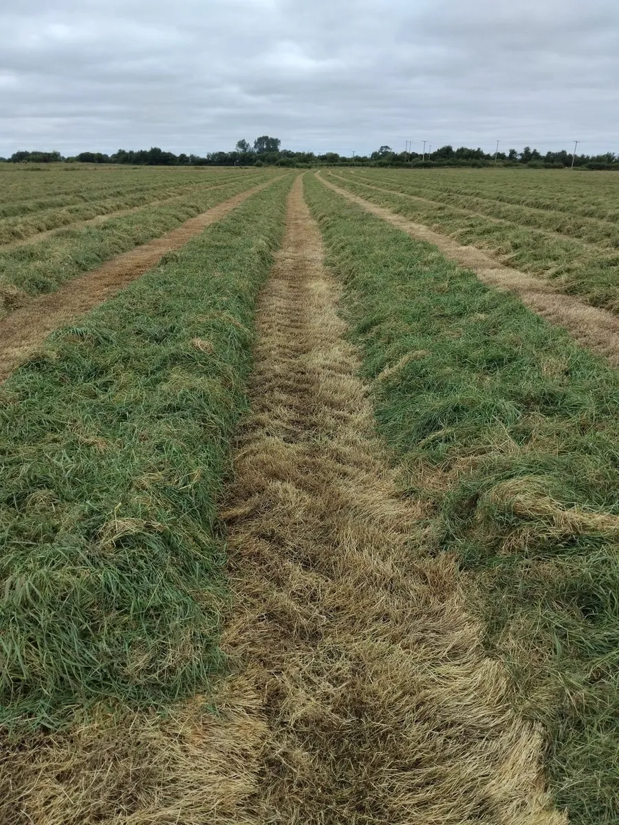 Silage/haylage - Image 2