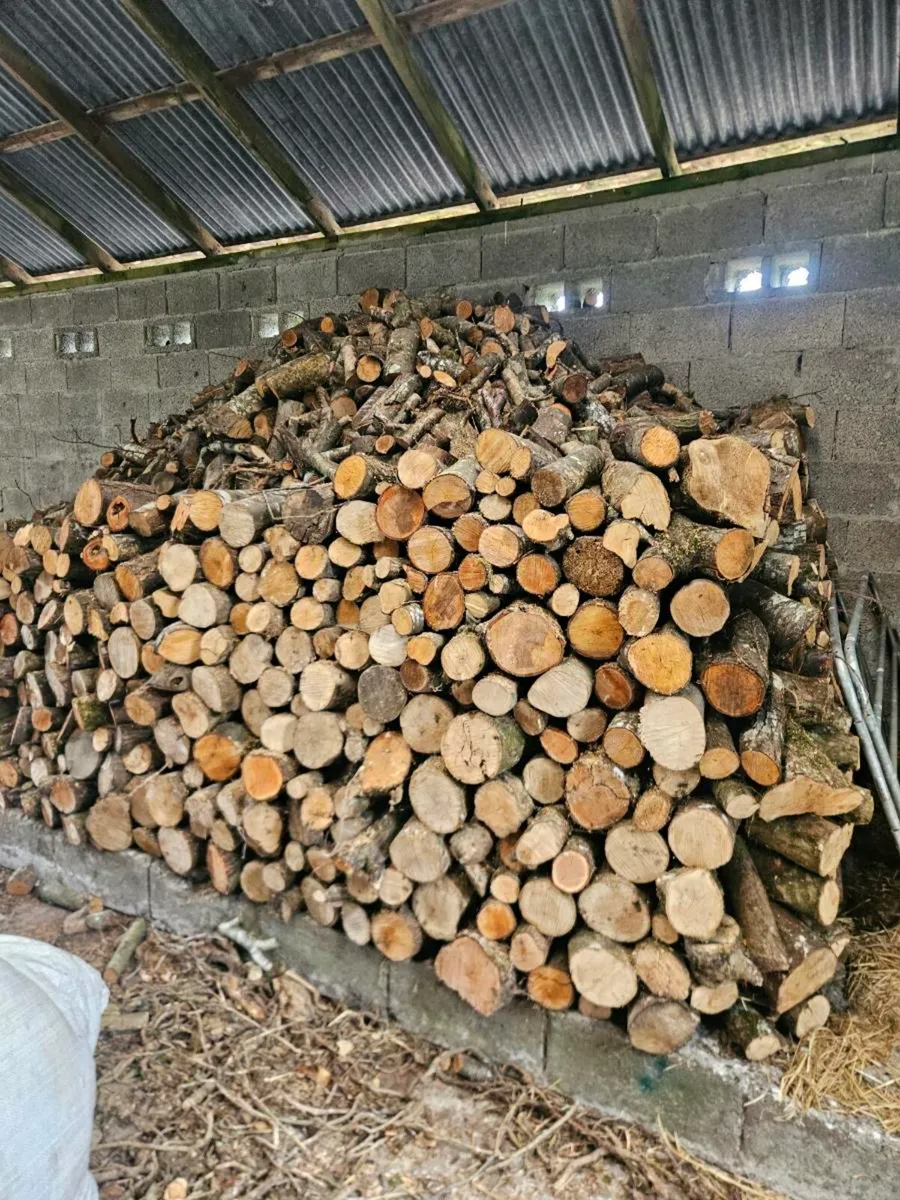 Firewood