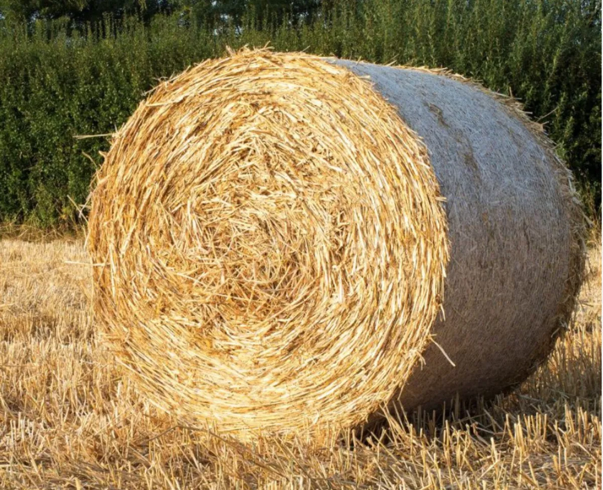 Straw